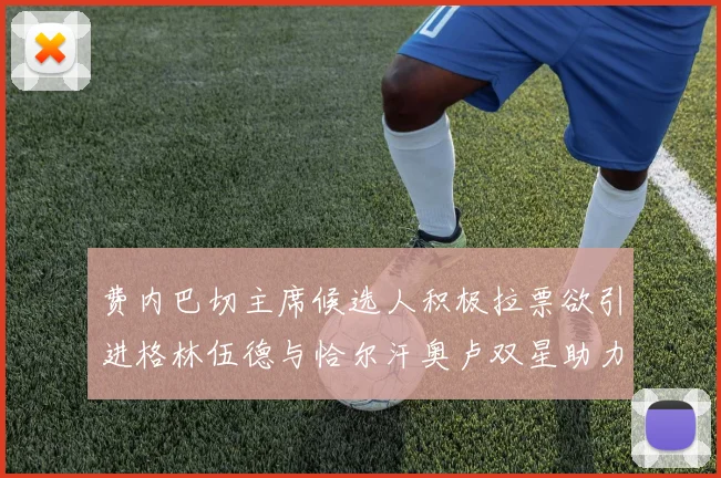 费内巴切主席候选人积极拉票欲引进格林伍德与恰尔汗奥卢双星助力球队