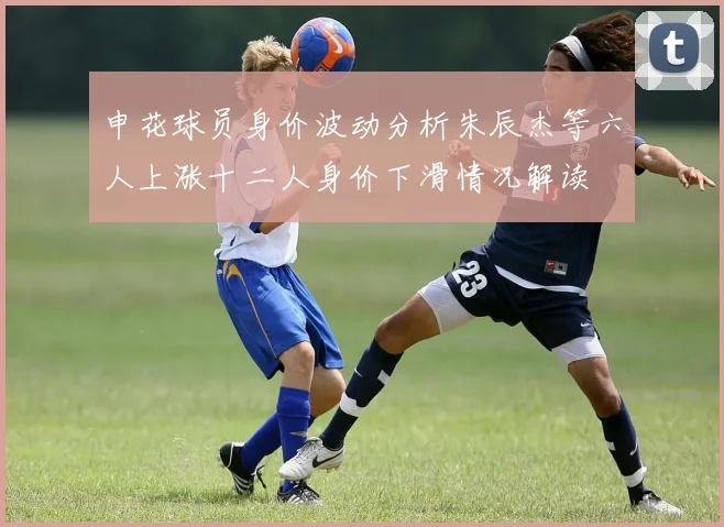 申花球员身价波动分析朱辰杰等六人上涨十二人身价下滑情况解读
